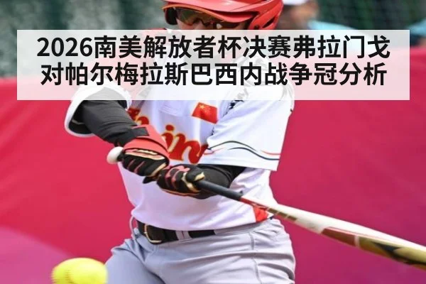 2026南美解放者杯决赛弗拉门戈对帕尔梅拉斯巴西内战争冠分析
